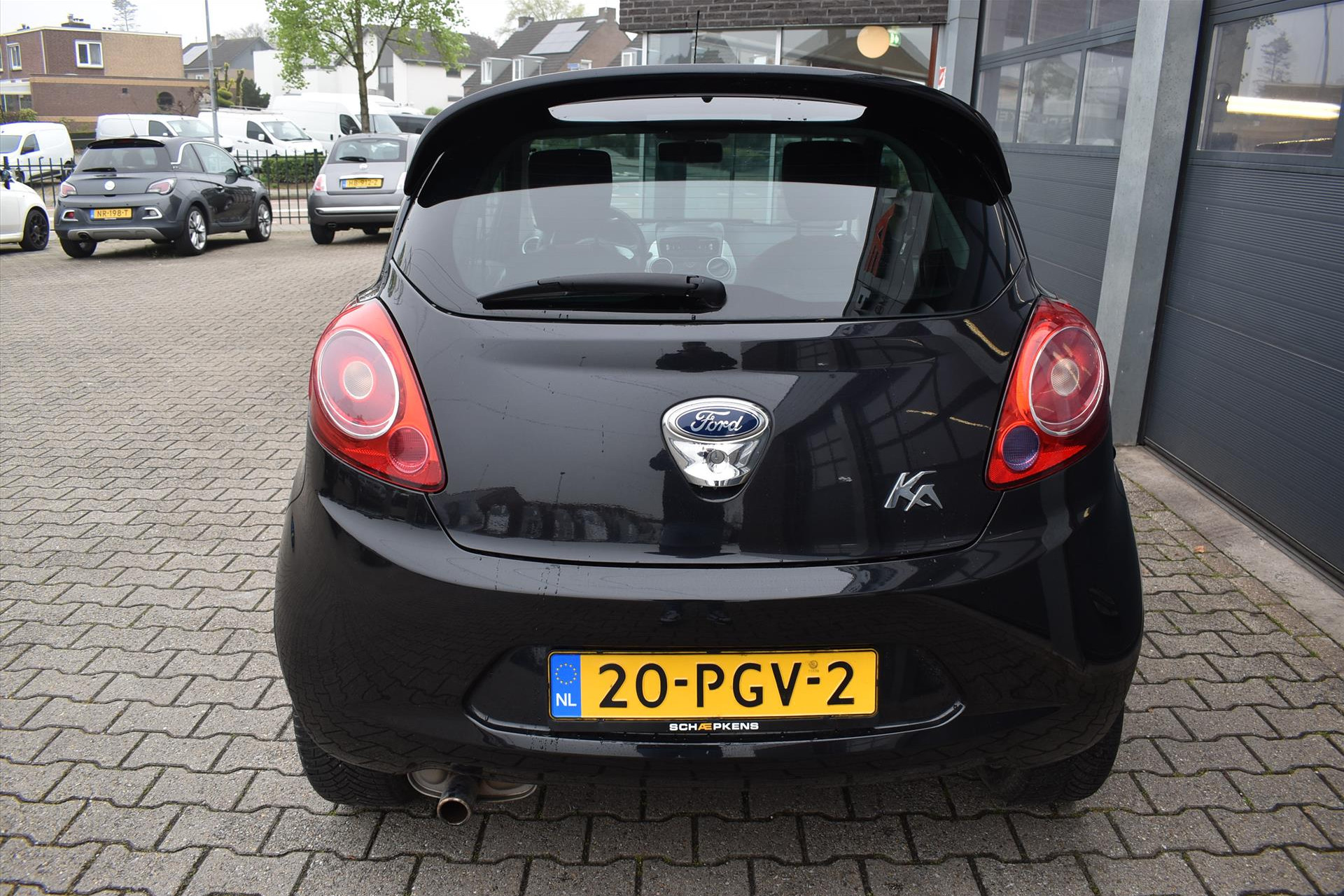 43459938-12.jpg