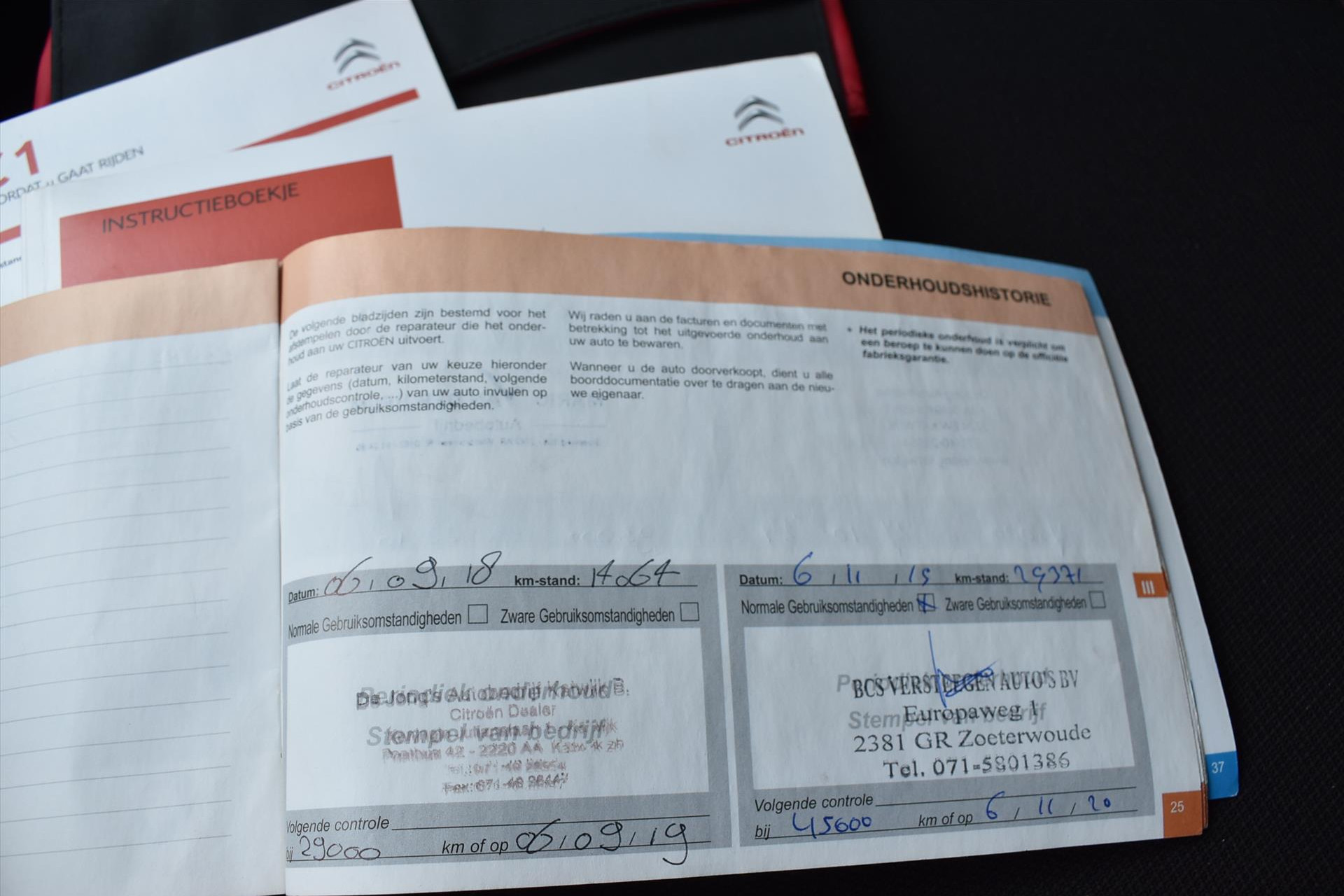 44316441-7.jpg