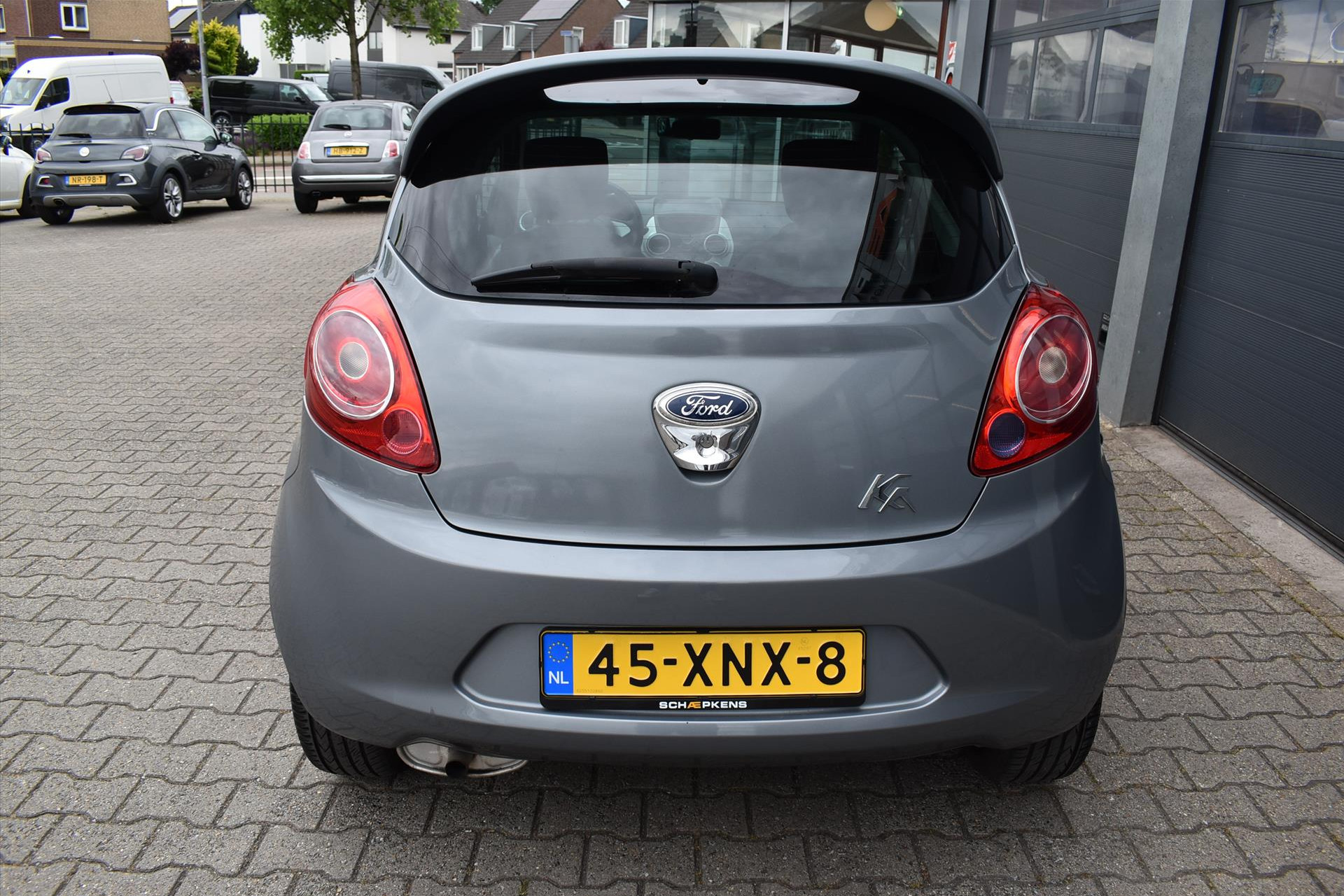 44555978-14.jpg