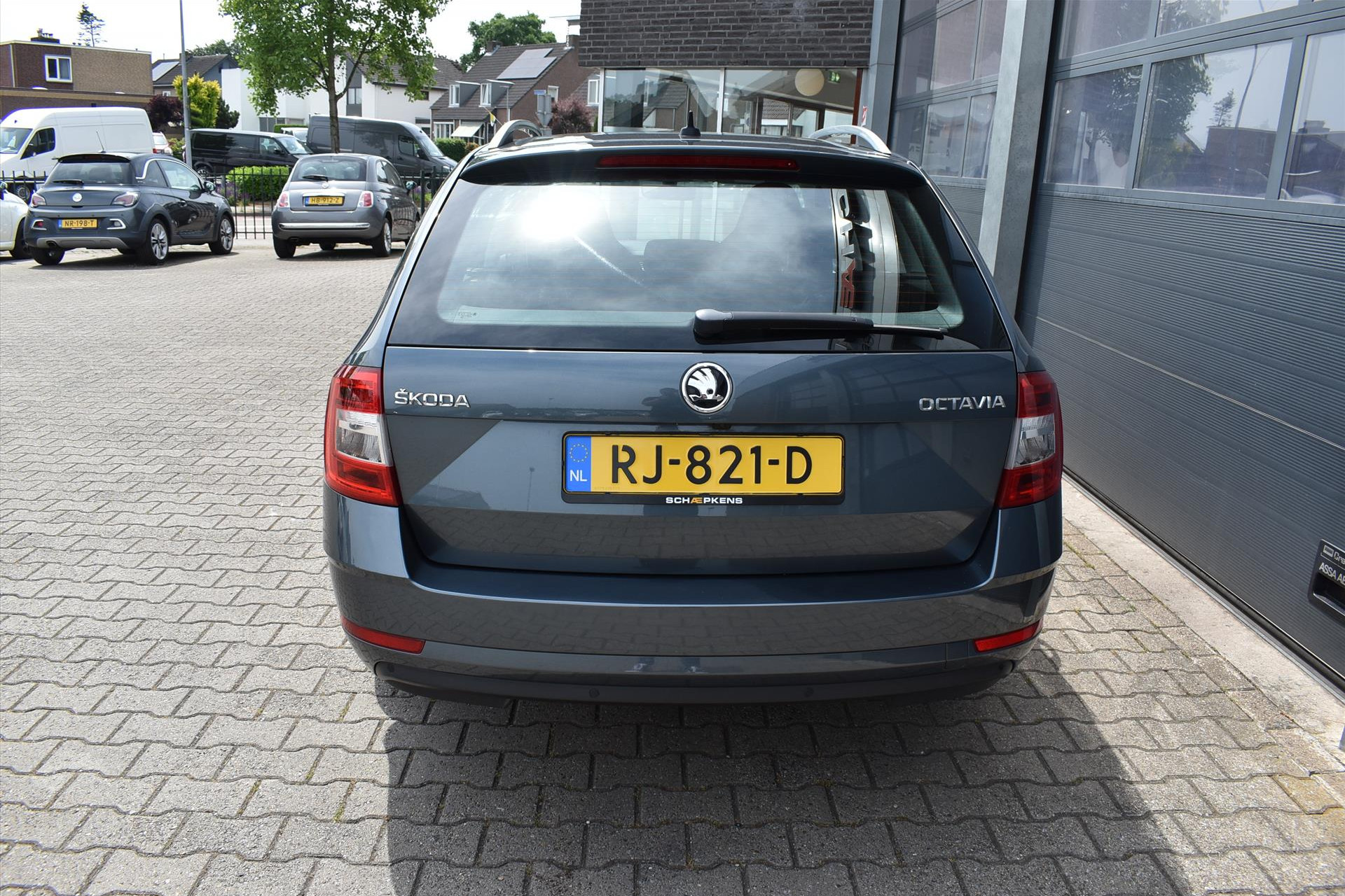 44908218-13.jpg