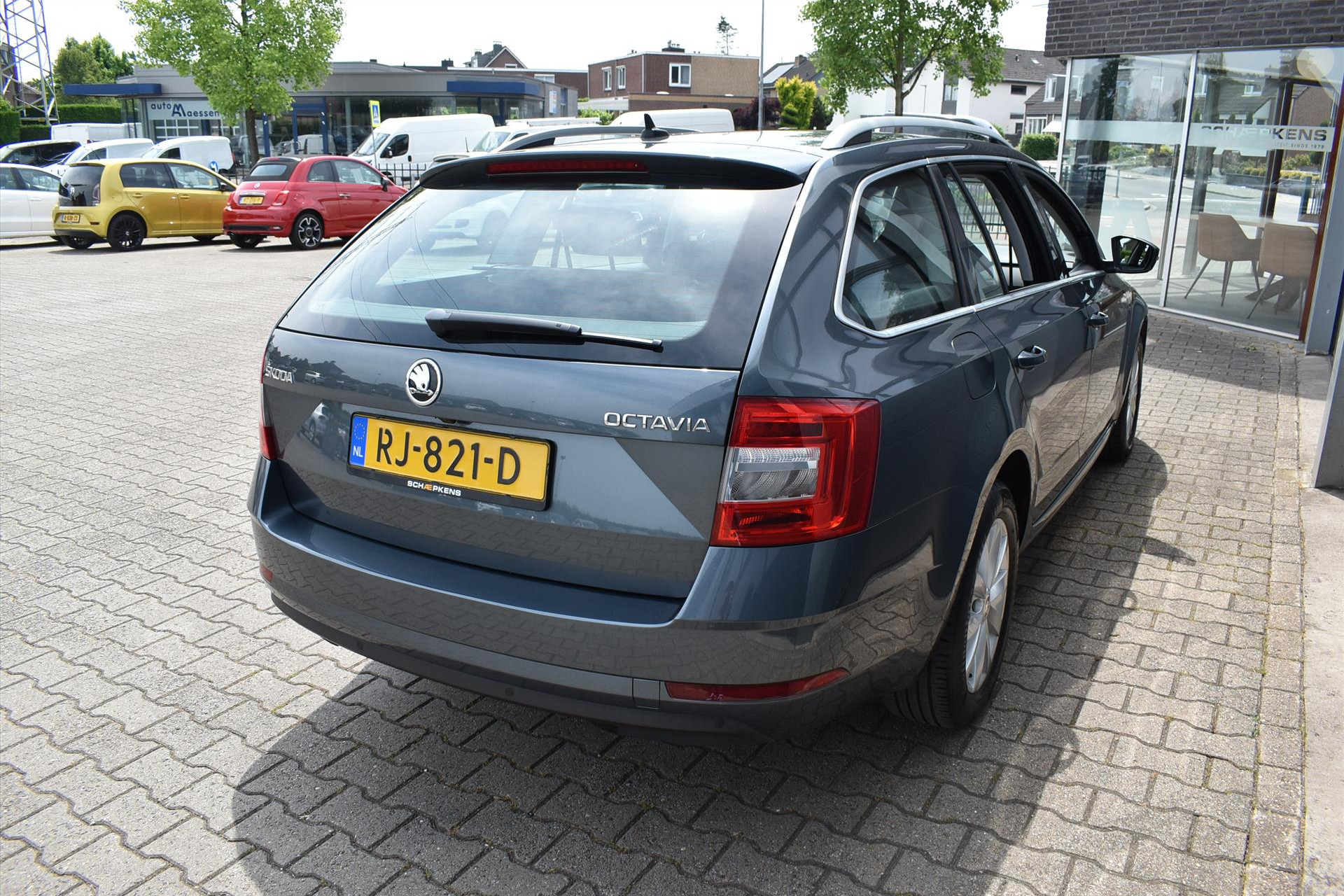 44908218-14.jpg