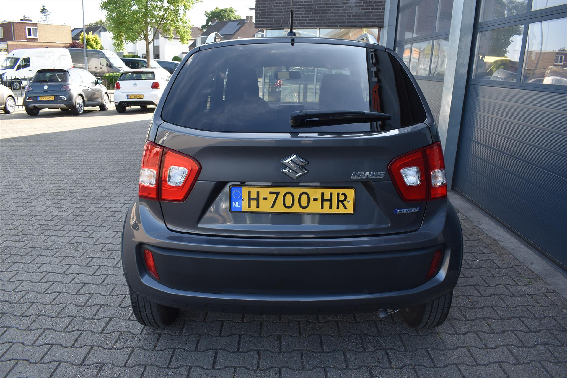 45431136-14.jpg