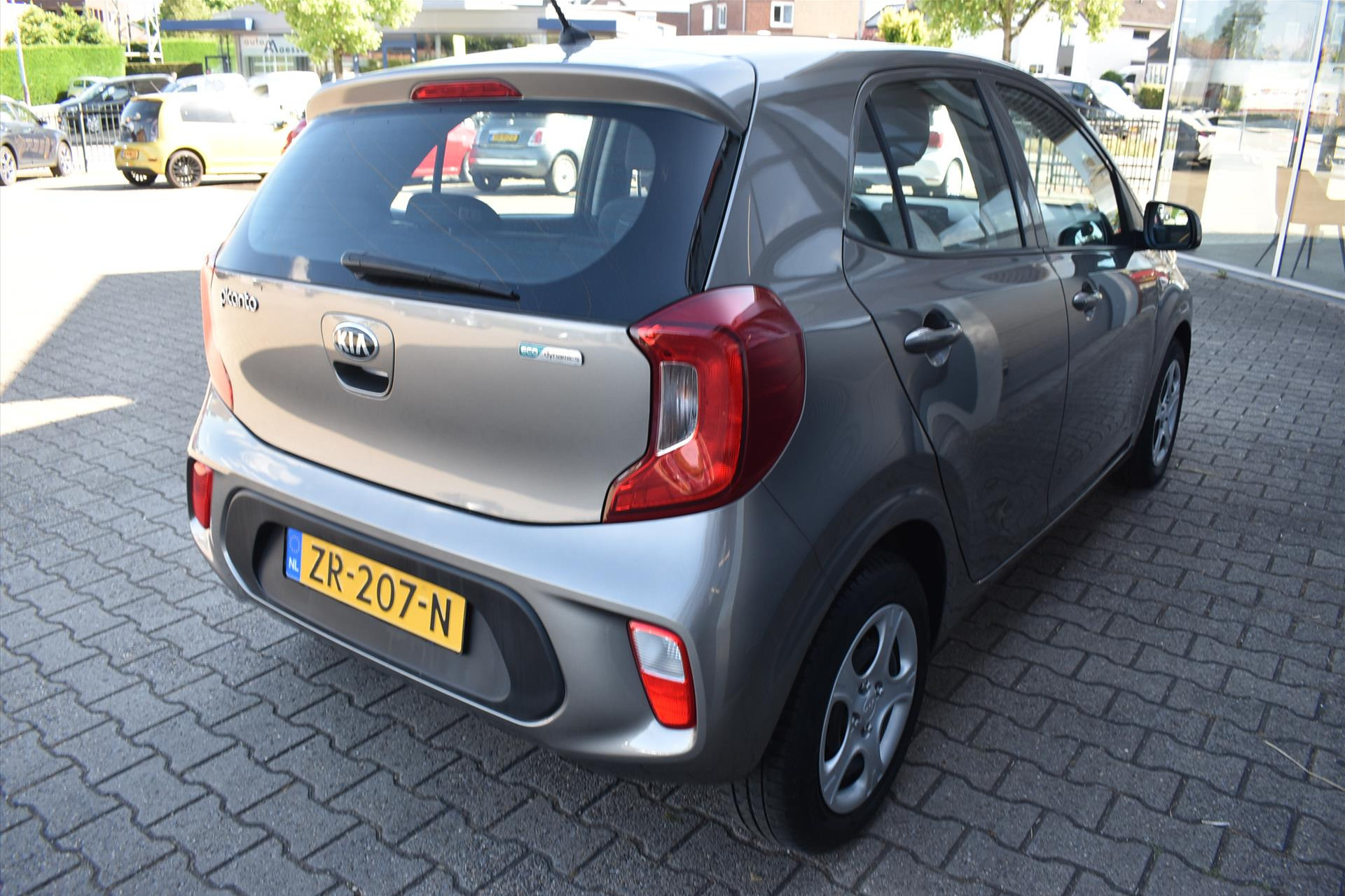 45649543-14.jpg