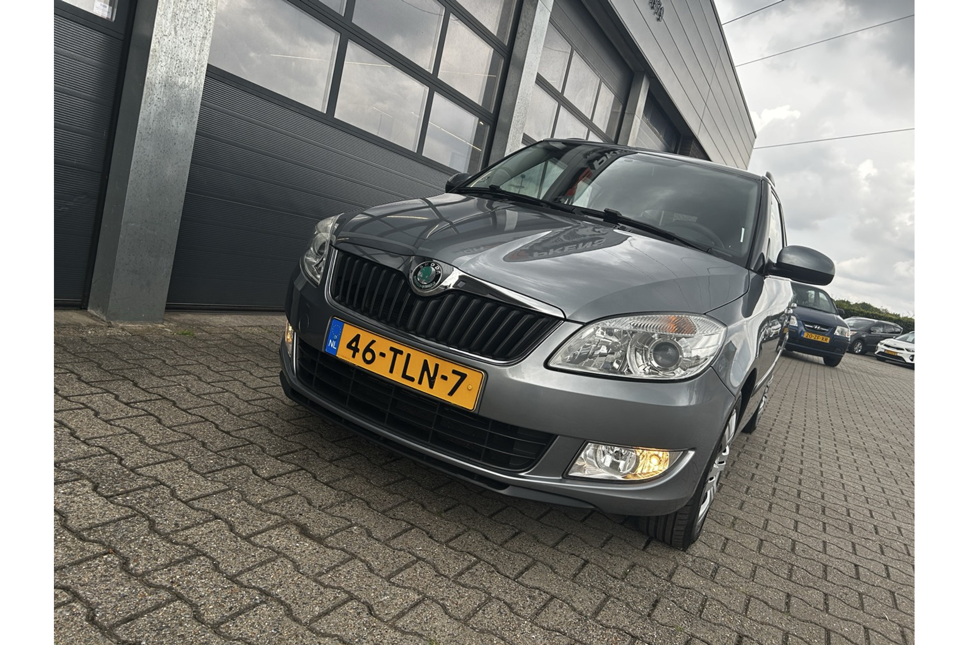 45960808-10.jpg