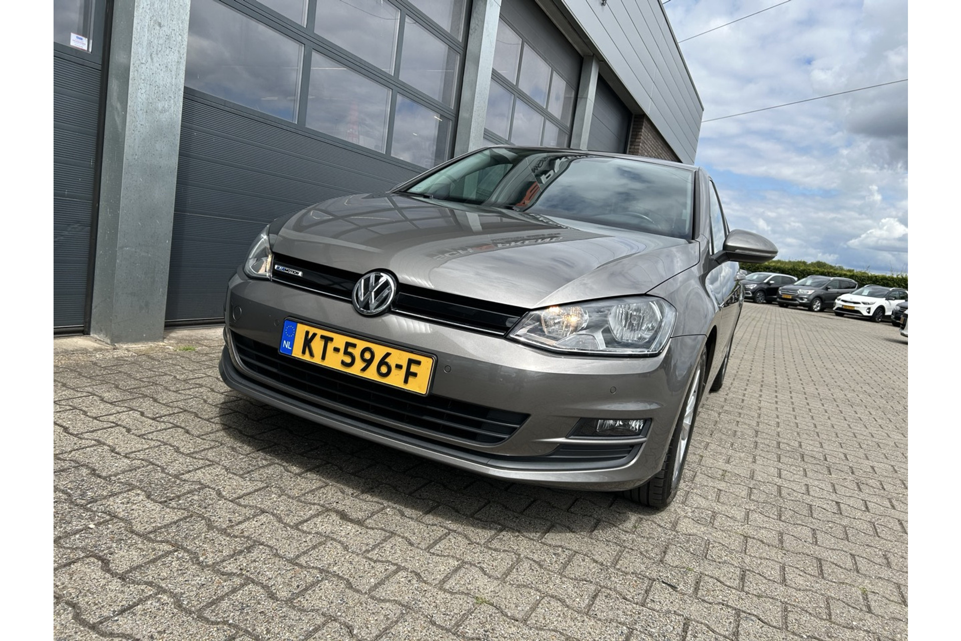 46099485-16.jpg