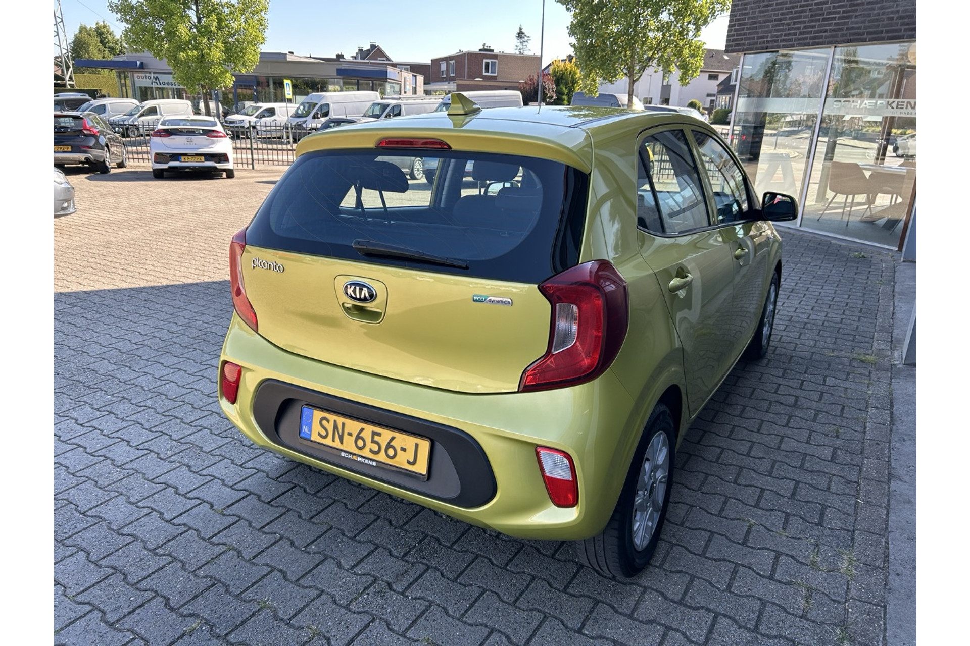46213872-14.jpg