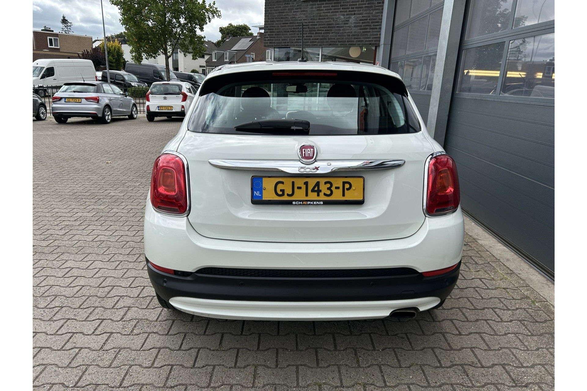 46976366-14.jpg
