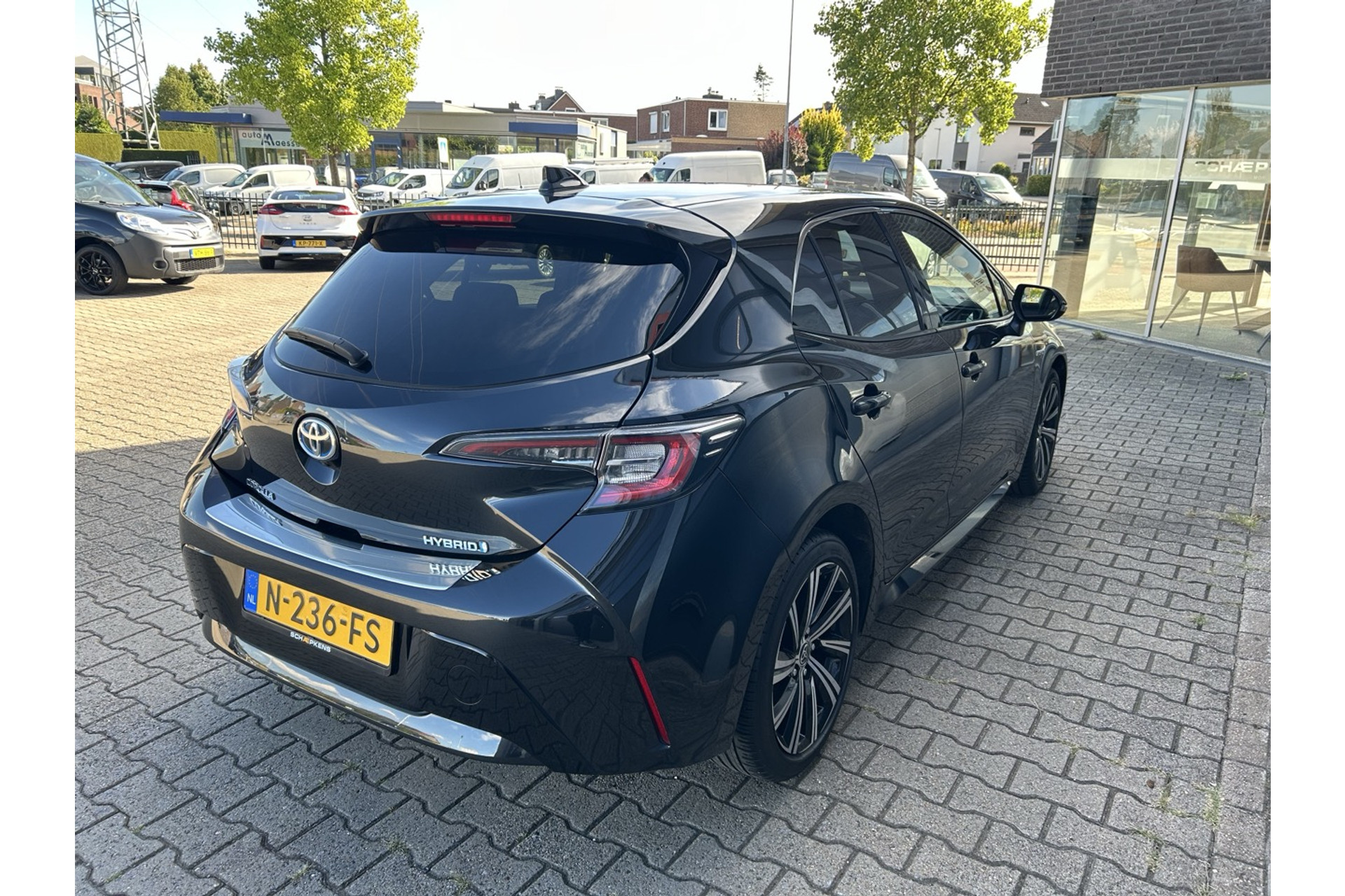 47186176-13.jpg