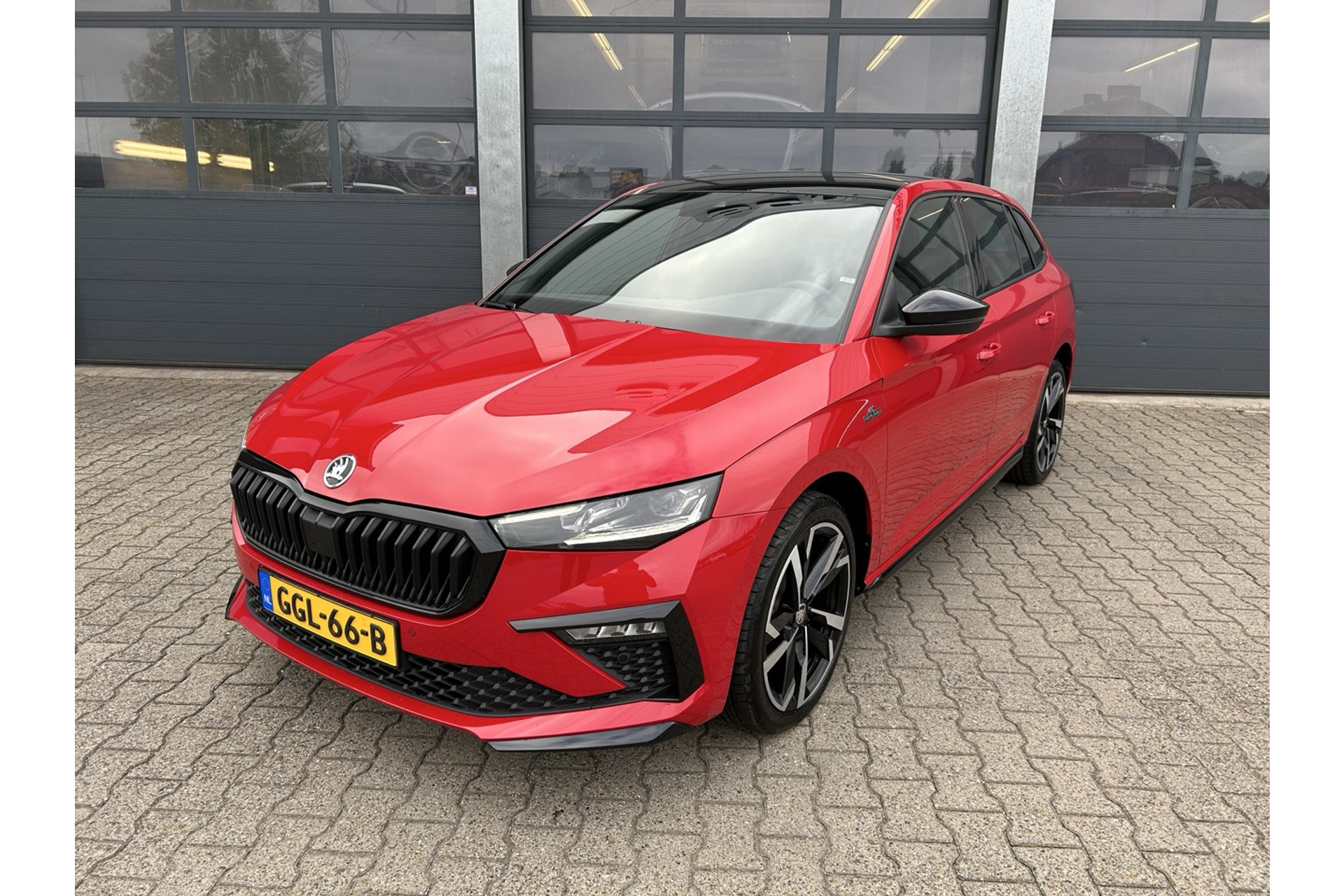 47186176-34.jpg