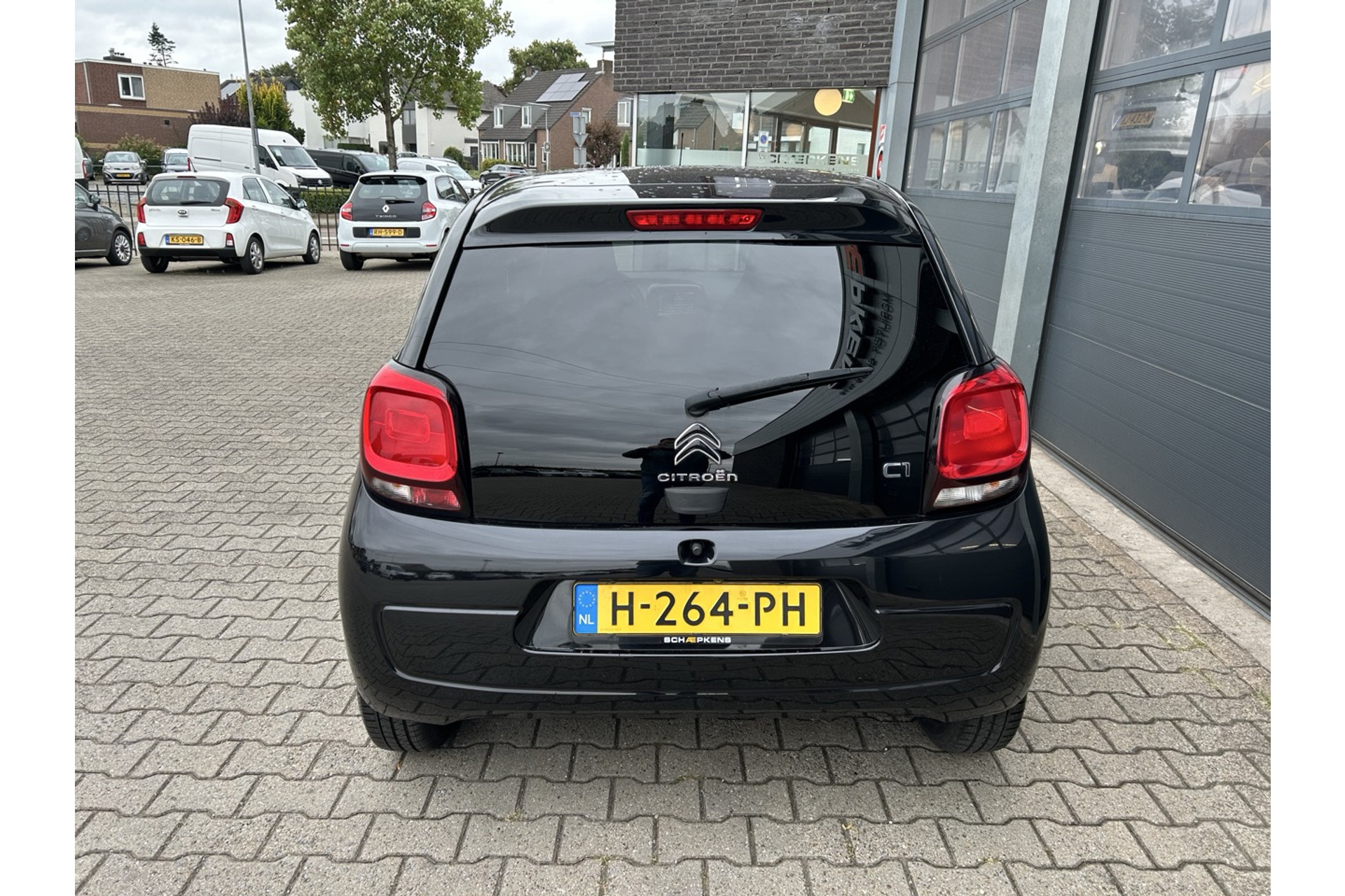 47479124-14.jpg